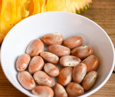 JACKFRUIT (100g) 100% Organic Rare Sweetest Jack Fruit Seed from Ceylon