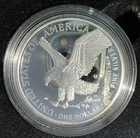 2021-W AMERICAN EAGLE SILVER $1 PROOF COIN U.S. MINT ORIGINAL CASE/COA🔥🔥21EAN