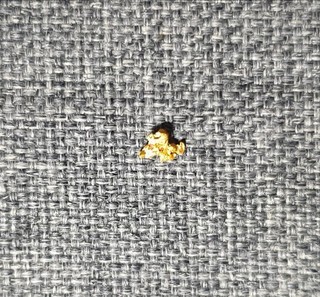 Gold Nugget Western Australian 0.11g