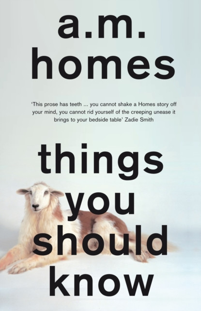 Things You Should Know by A.M.  Homes (Paperback Book)