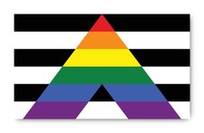 Flagge - Straight Ally Pride - LGBTQ - f&uuml;r Auto, Laptop und mehr