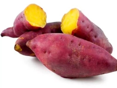 10 Sweet Potato Slips, Fresh Cuttings Ready To Plant 4 variety - Picture 4 of 8