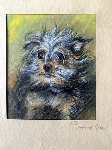 ::PERRO REBAÑO WOLDE TERRIER DIBUJO ANIMALES ANTIGUOS MARCO °INTERESANTE TRABAJO - Imagen 2 de 6