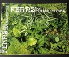 FERNS FROM MOTHER NATURE - James E. Gick - 1977 Softcover, Free Shipping!