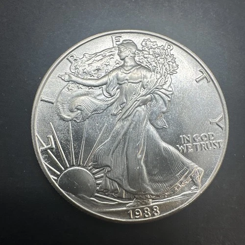 1 Oz .999 Fine Silver 1988 Walking Liberty Eagle One Dollar Coin Bullion 002