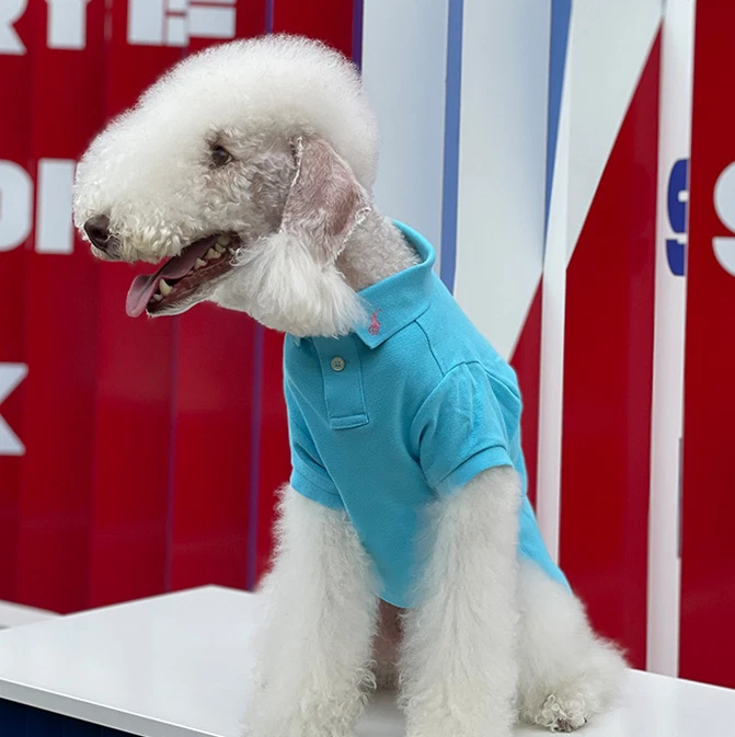【専用】新品未使用Polo Ralph Lauren ドッグウェア キルティング polo ralph lauren dog products for sale | eBay