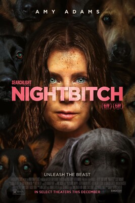 NightBitch movie poster  - 11 x 17 inches - Amy Adams
