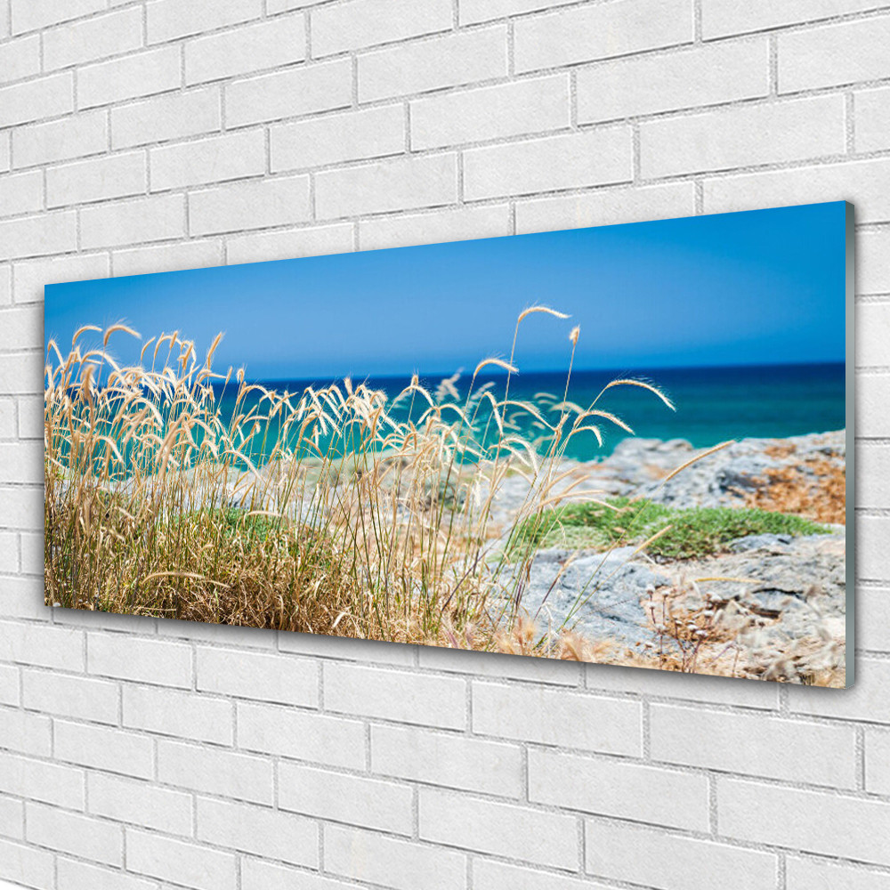 Tableau en verre Tulup 125x50 cm Plage décoration murale panoramique