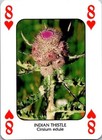 Bild 10 von 54