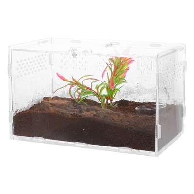  Transparent Terrarium Snake Plant Lizards Reptile Enclosure Sea Turtle