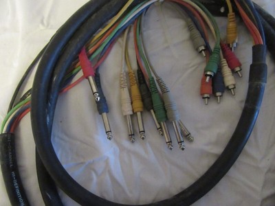 Cavo Audio Serpente 8 Canali Cable Up CU/SU303 - 10 Piedi, Connettori 1/4 TS Maschio A RCA Maschio Cavo Rca Audio Alta Qualità Cavo Audio Serpente 8 Canali Cable Up CU/SU303 - 10 Piedi, Connettori 1/4 TS Maschio A RCA Maschio Cavo Rca Audio Alta Qualità