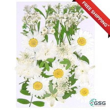 25 Pieces White Dried Pressed Flowers for Resin Jewelry Craft DIY