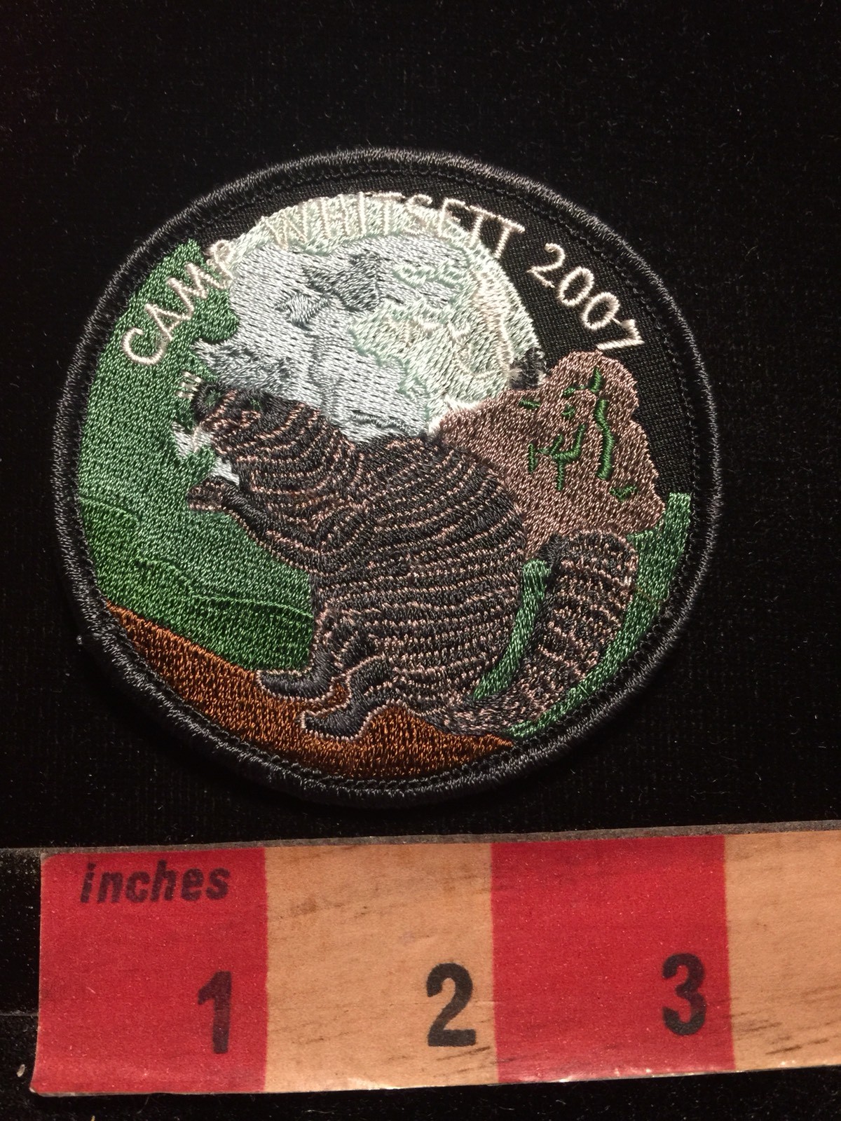 2007 BSA CAMP WHITSETT Boy Scouts Patch 87V2 eBay