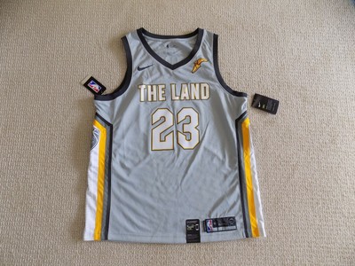 lebron james the land jersey