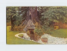 Postcard Eternal Tree House California USA