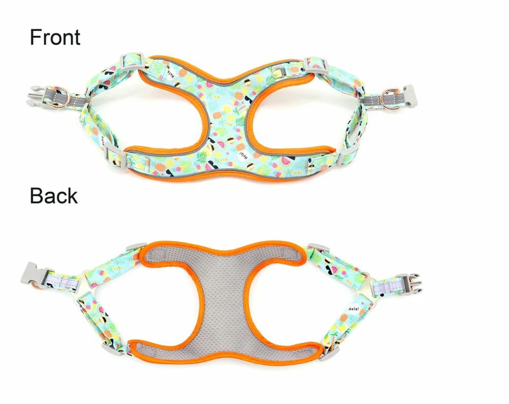 Dog Harness, Collar & Lead Summer Fun  Set