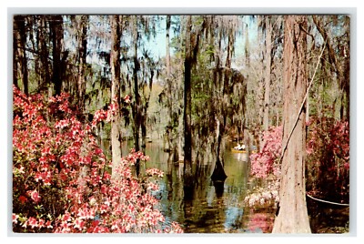Cypress Gardens Berkeley County South Carolina Unused Vintage Postcard AF405