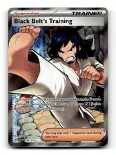 Black Belt's Training 255/217 Double Rare Ascended Heroes Pokemon Holo Near Mint