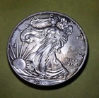 2016 1 Oz Silver American Eagle Nicely Toned True Auction Send Offers