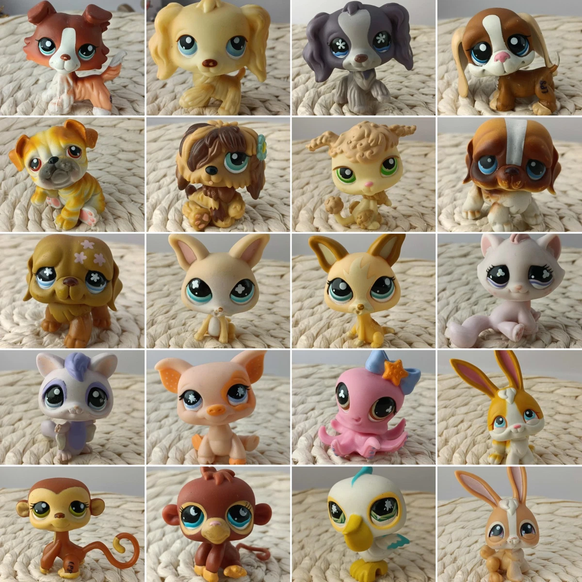 LPS Petshop chat européen #05 - Jeux & Jouets