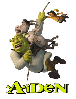 CUSTOM PERSONALIZED SHREK T SHIRT | eBay