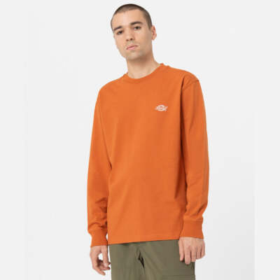 Dickies Summerdale Tee LS Bombay Brown