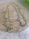 Bild 2 von 9