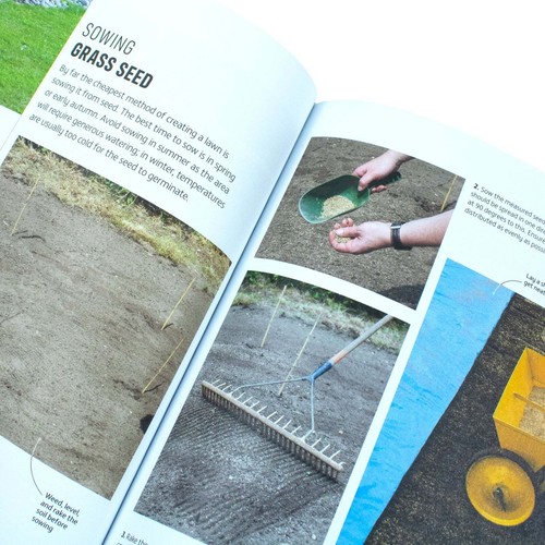 RHS How to Garden When Youre New to Gardening, The Basics for Absolute Beginner - Picture 6 of 6