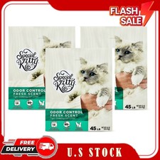 3 Pack Special Kitty Clumping Clay Cat Litter, Fresh Scent, 45 lbs Box, 1 Count