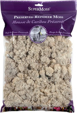  21722 Reindeer Moss Preserved, Natural, 8Oz 200 Cubic Inch 