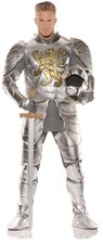 Knight In Shining Armor Silver Adult Costume