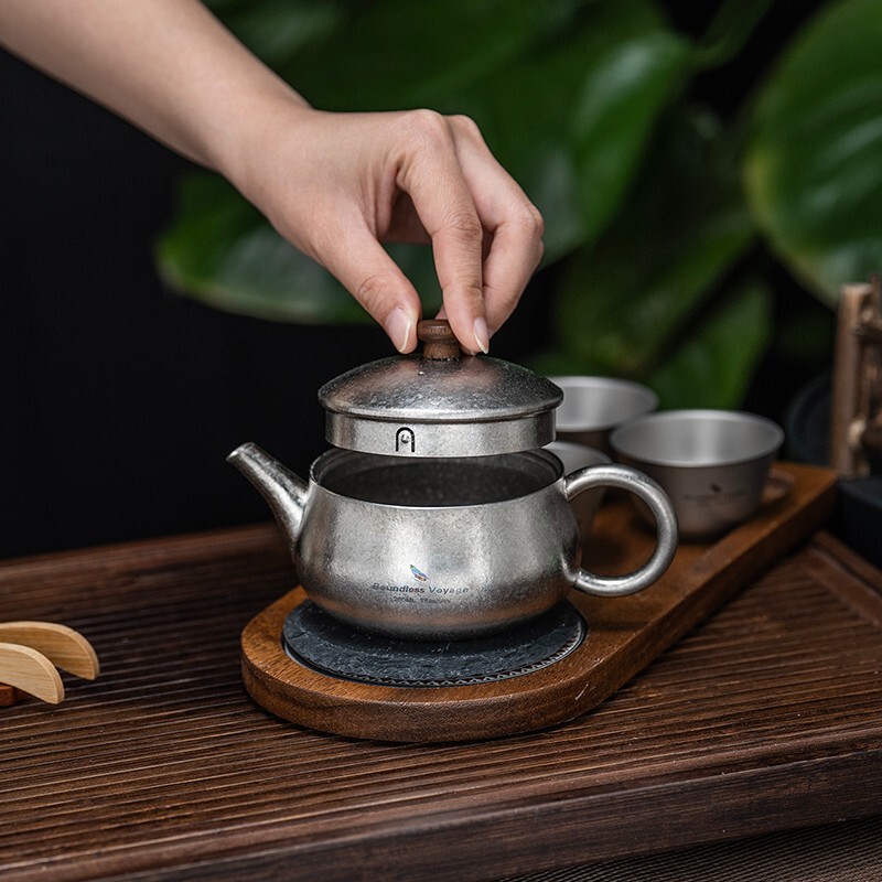 260ml Titanium Teapot with Filter Lightweight Chinese Kung Fu Tea Pot for Adults