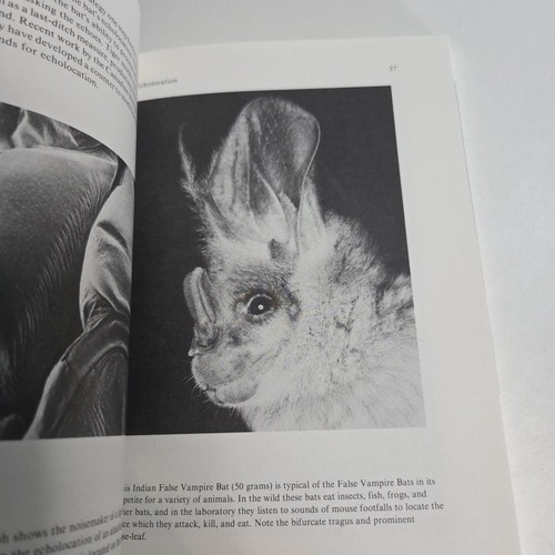 Just Bats Brock Fenton Chiropterans Flying Mammals 1991 PB - Picture 9 of 11