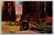World Famous Tree House Park Redwood Highway California CA Nature View Postcard