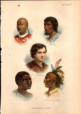 The Living World: Illustrations - The Several Races of Men - 1868