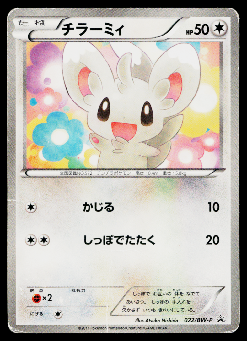Minccino - 022/BW-P 022/BW-P BW-P Promotional cards Regular