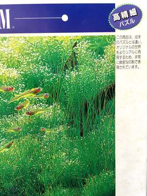 Nature Aquarium | eBay