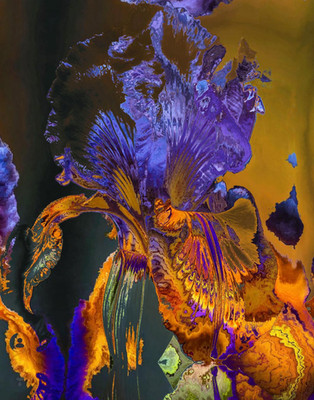 Floral Fine Art Print 11x14 Archival Botanical Wall Art Abstract Flower Décor