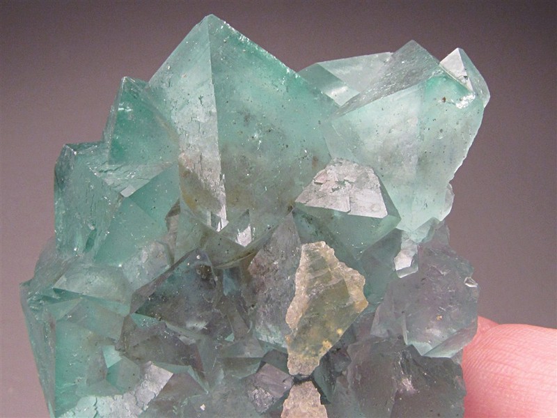4 oz. Fluorite, Riemvasmaak, South Africa
