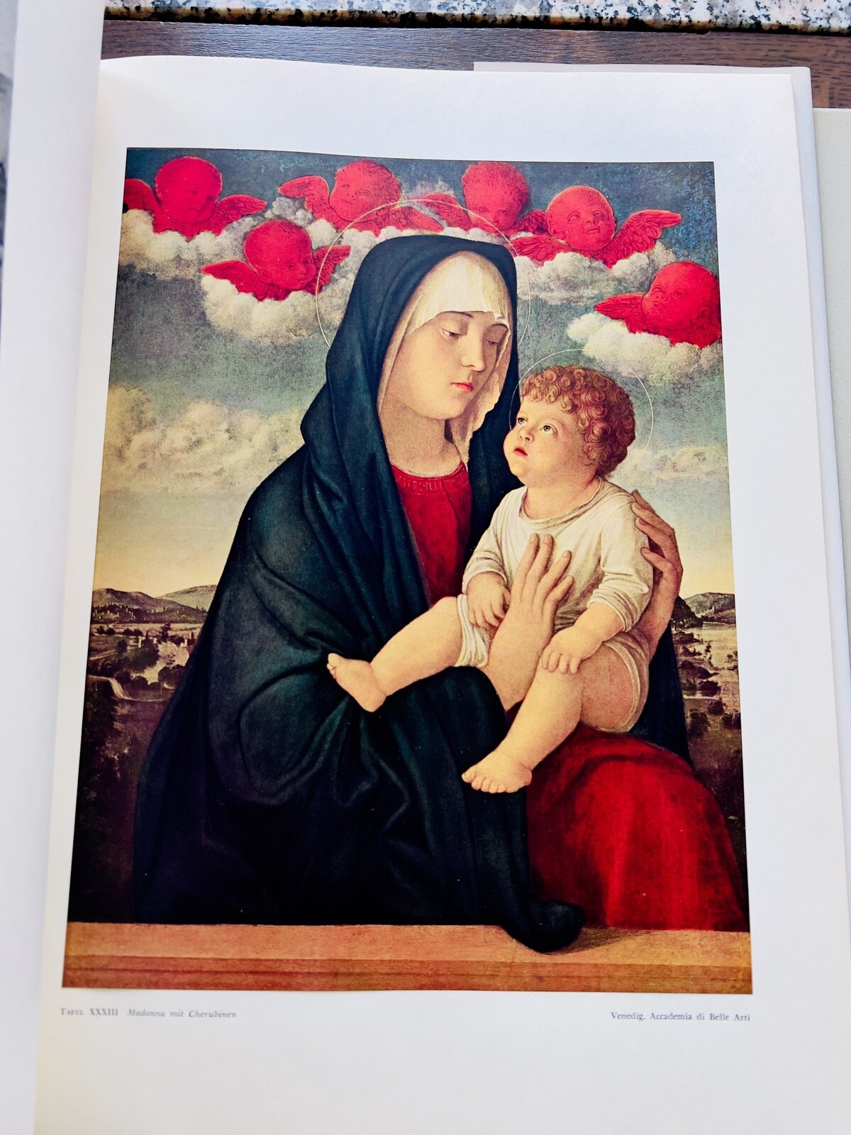 Vintage Book Giovanni Bellini Pictures Colour Plates Art Folio Illustration C...