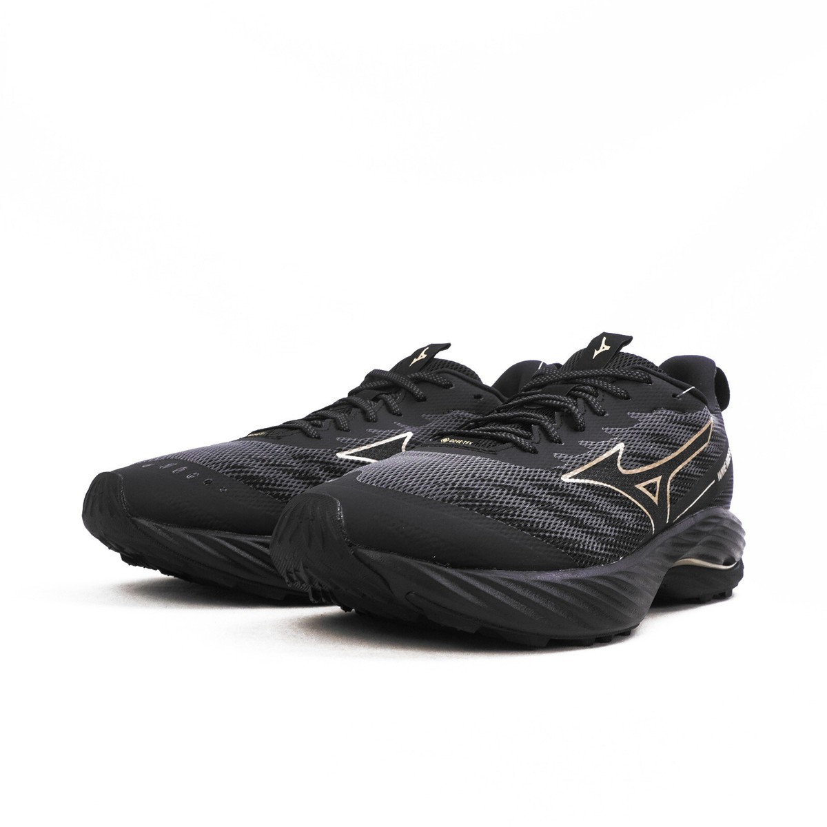 Mizuno Wave Rider Gtx 2 Extra Wide [J1GD248021] Women