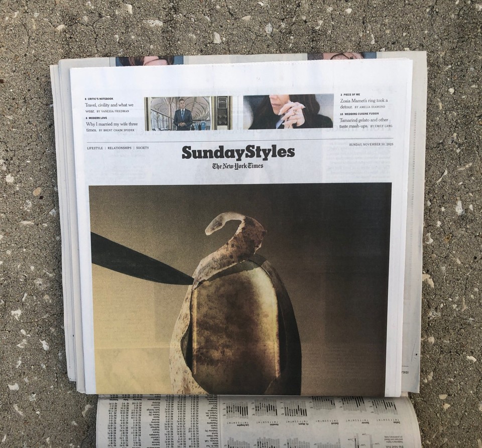 new-york-times-sunday-november-30-2025-stranger-things-book