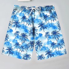 Teen Boys Hawaiian Shorts Graphic Print Quick Dry Swim Trunks Elastic Waist