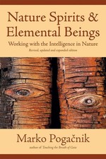 Nature Spirits & Elemental Beings: Working with the Intelligence in
