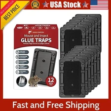 Mouse & Insect Traps 12 Pack, Heavier Sticky Traps with Non-Toxic Glue for Mice