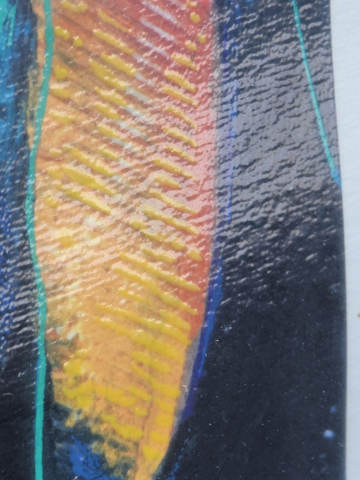 Bild 10 von 12