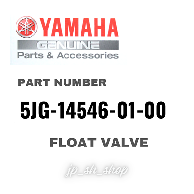 YAMAHA Genuine OEM Parts FLOAT VALVE 5JG-14546-01-00 for WR250F | eBay