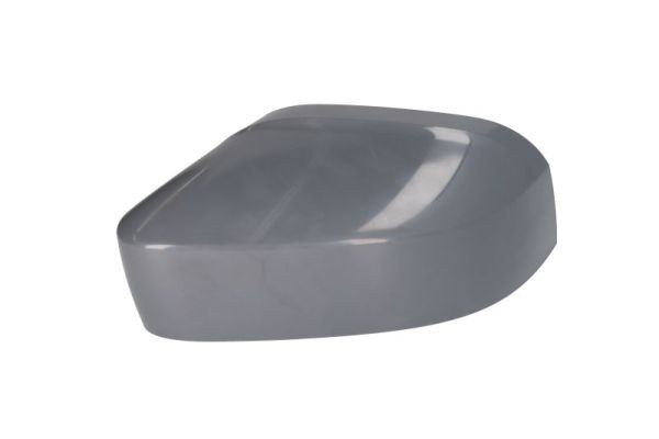 Left BLIC 6103-01-0104291P Housing, exterior mirror for VW