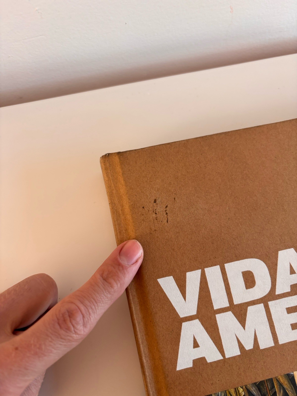 Vida Americana : Mexican Muralists Remake American Art, 1925-1945