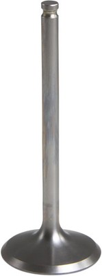 Black Diamond  Motorventil KIBBLEWHITE 80-80666